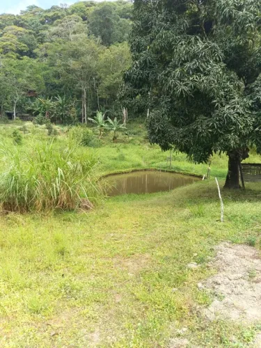 Terreno 12.800 m² em Guaramiranga - Sitio Bananal