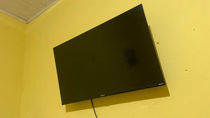 Televisão
