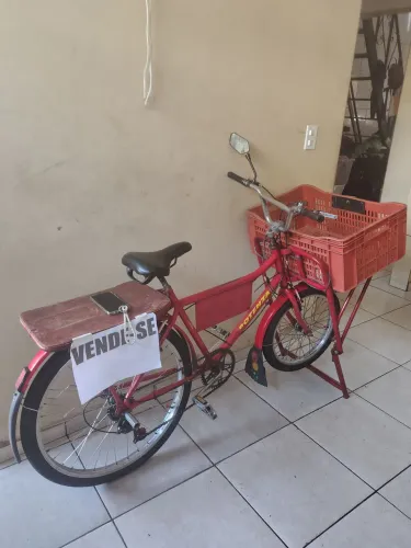 Bicicleta cargueira