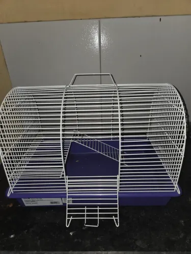 Gaiola pada roedores, hamsters 