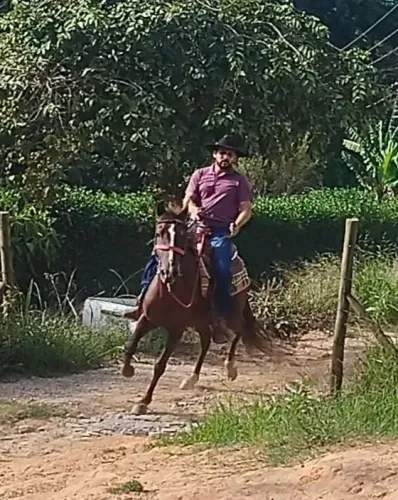 Égua mansa "3 anos e meio"