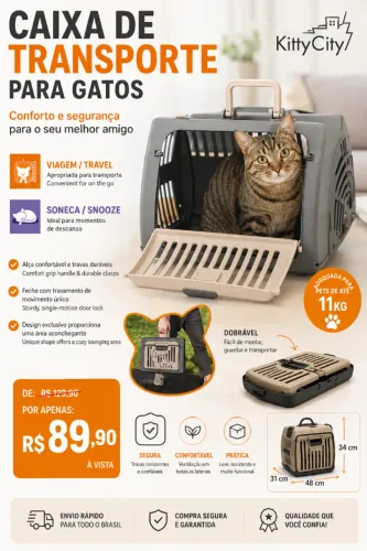Caixa de transporte para gatos Kitty City