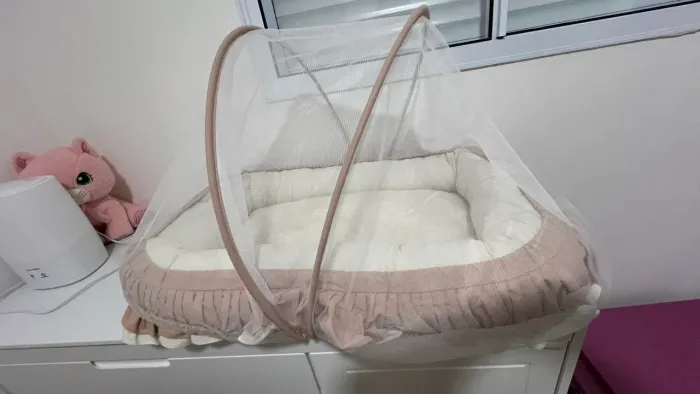 Vendo esse ninho