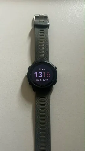 Garmin 245