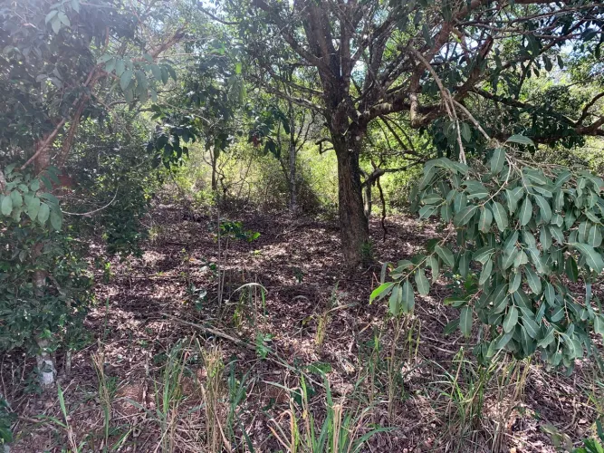 Terreno em Saquarema próximo a praia