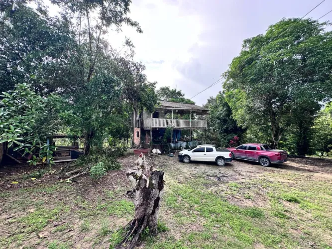 Sítio na Estrada do Brasileirinho com 16.500m² e Casa de Madeira