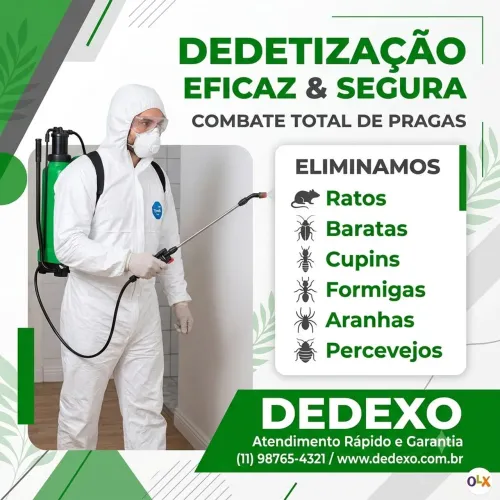 Dedetização profissional, controle de pragas urbanas.