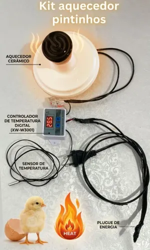 Aquecedor para pintinhos