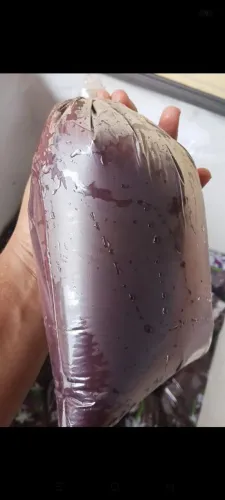 Açaí puro do Pará