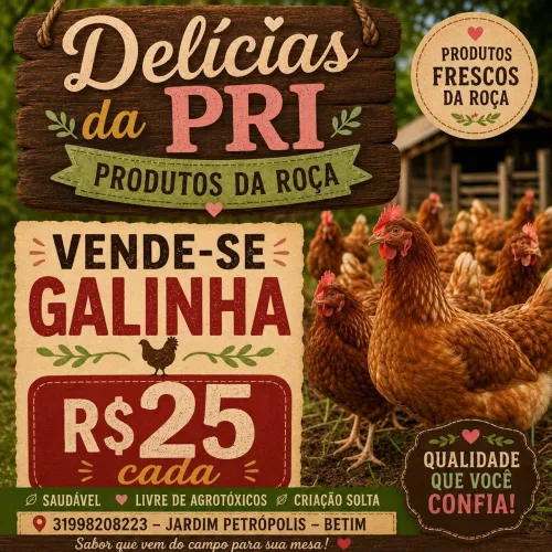 Galinha de postura