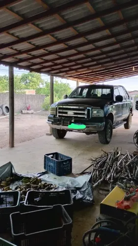 Ford F-250 XLT 3.9 4X4 CD TB Diesel 2008
