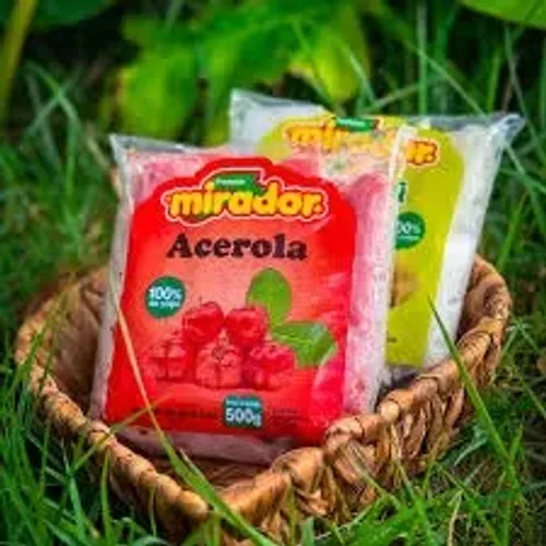 POLPA DE FRUTA NO ATACADO - ACIMA DE R$11 REAIS