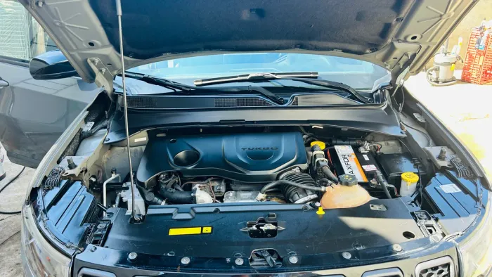 Lavagem de motor + aplicação de verniz