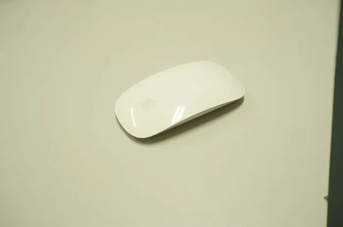 Magic mouse 2