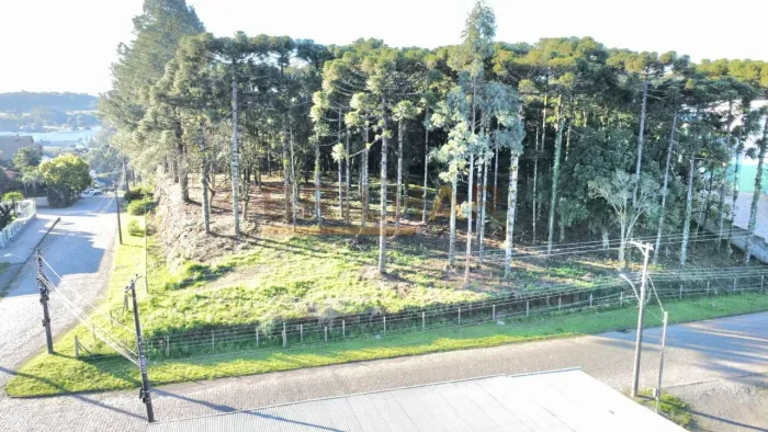 Terreno a venda no bairro Ana Rech