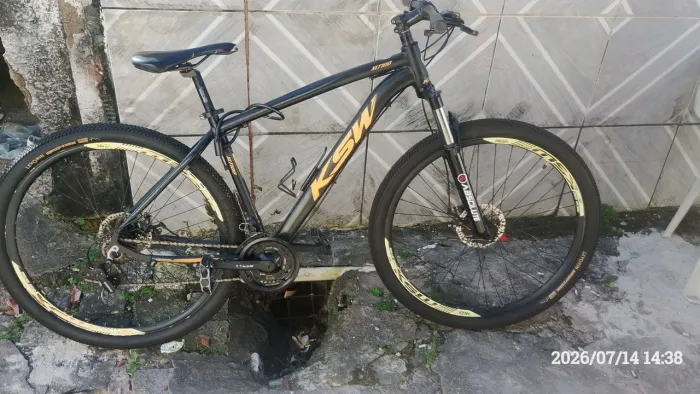 Bicicleta