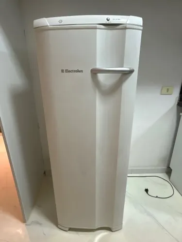 Freezer Electrolux FE22