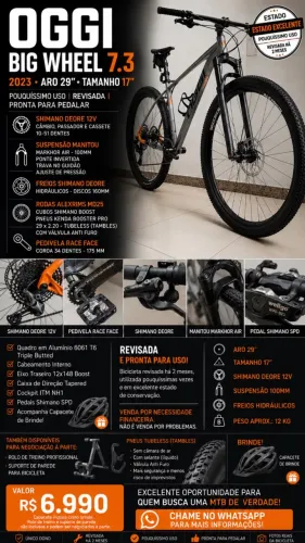 OGGI BIG WHEEL 7.3 2023 | ARO 29 | TAMANHO 17?