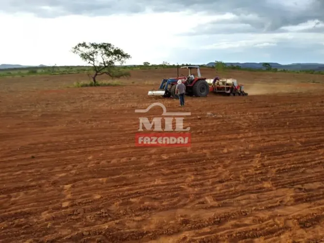 Fazenda 690 alqueires (3.340 hectares) Mambai- GO