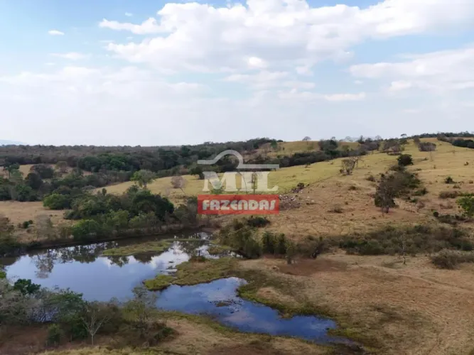 Fazenda 60 Alqueires (290,40 Hectares) Formoso - GO
