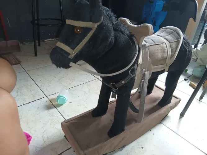 Cavalinho