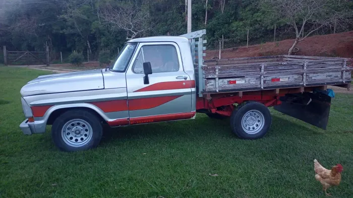 Ford F-1000 S. S. Diesel / S.s. Diesel Turbo 1981