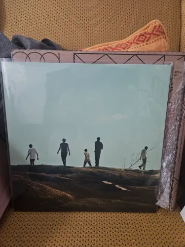 Disco de vinil Cinco a seco