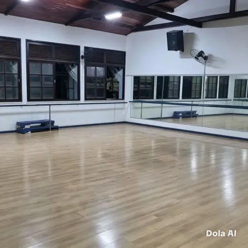 Vendedor ? Escola de Dança