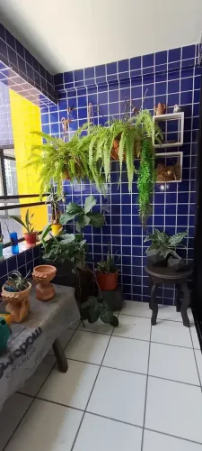 Apartamentos para vender, 85m², 3 quartos (sendo 1 suíte), em Boa Viagem, Recife-PE.