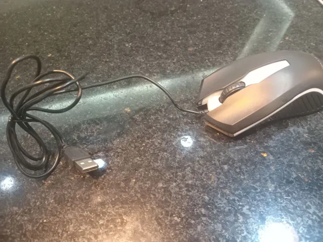 Mouse 