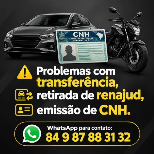 DESPACHANTE VEÍCULO - DETRAN RN