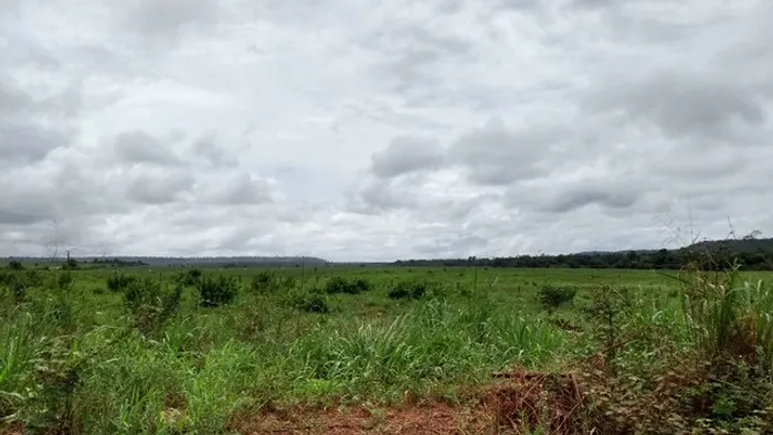 640 alqueires com 320 alqueires de abertura no Pará dupla aptidão
