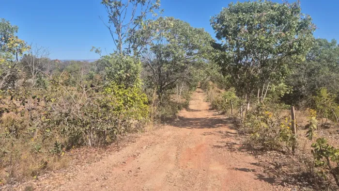 Lotes na Serra da Mesa