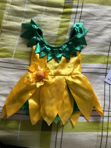 Fantasia girassol