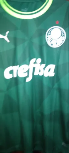 Camisas da S.E Palmeiras Manga Longa ,2023