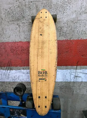 Skate Longboard Sector 9