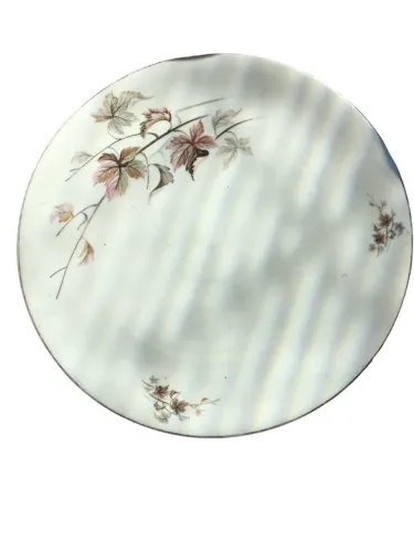 kit 6 pratos de porcelana