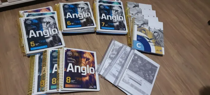 Livros 2° ano médio Editora ANGLO - ITINERÁRIO HUMANAS e, em xerox, ITINERÁRIO NATUREZA