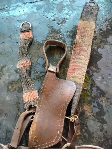 Vendo cela e a traia inteira 