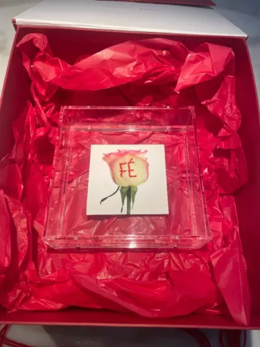 Mini-Obra Paula Costa Fé Quadro Flor Bordado Artista Plástica