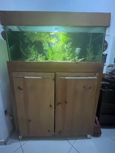 Aquário de 140 L