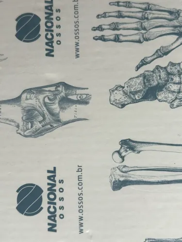 Manequim odontológico 