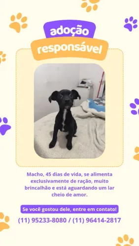 DOAÇÃO