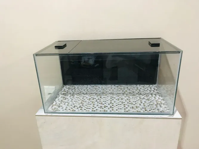 Lindo aquário 50 litros