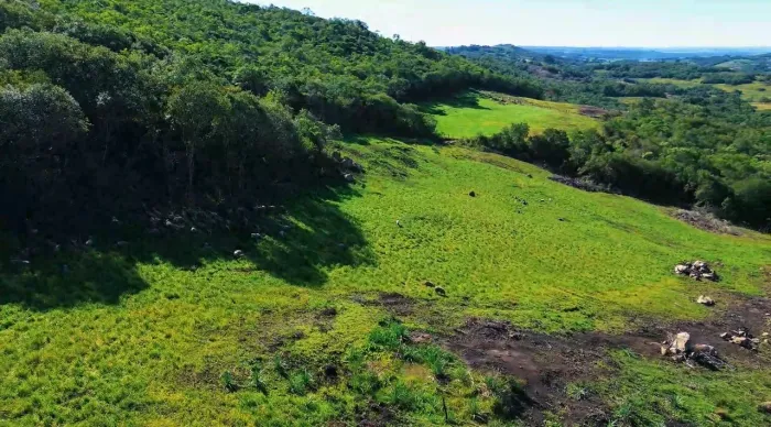 VENDO CAMPO EM PINHEIRO MACHADO