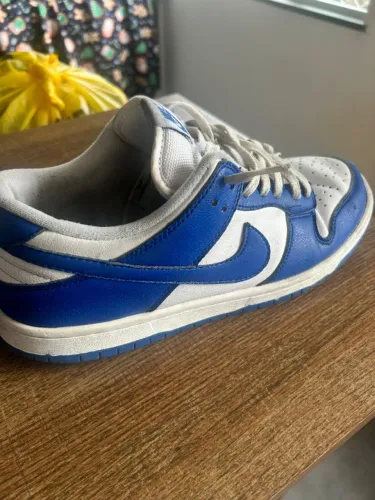 Nike dunk