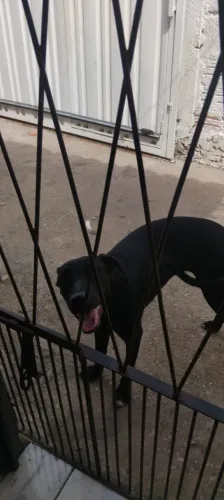 Doação