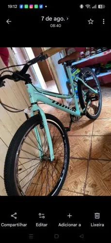 Bicicleta