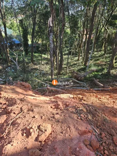 Terreno à venda, 5100 m² por R$ 299.950,00 - Recanto dos Palmares - Atibaia/SP