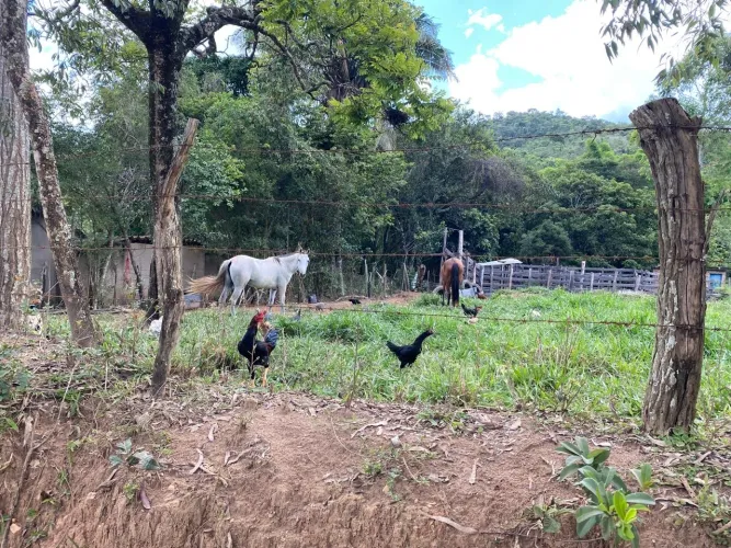 Sítio a venda em Itaguara